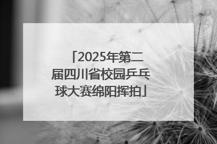 2025年第二届四川省校园乒乓球大赛绵阳挥拍