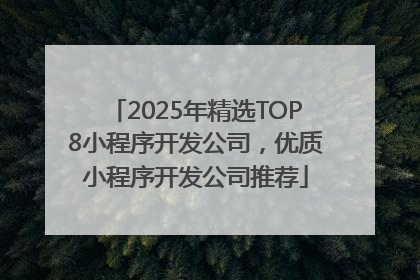 2025年精选TOP8小程序开发公司，优质小程序开发公司推荐