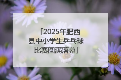 2025年肥西县中小学生乒乓球比赛圆满落幕