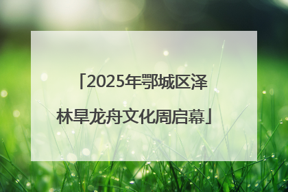2025年鄂城区泽林旱龙舟文化周启幕