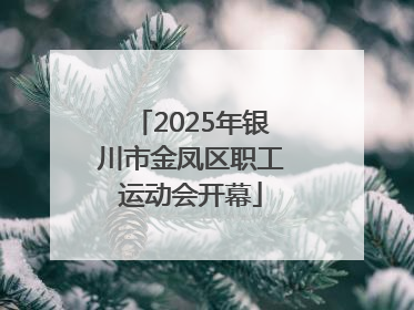 2025年银川市金凤区职工运动会开幕