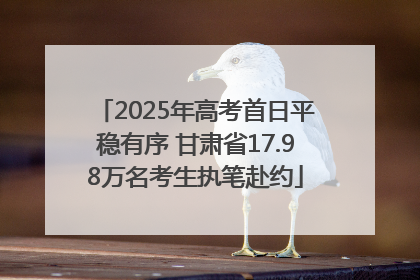 2025年高考首日平稳有序 甘肃省17.98万名考生执笔赴约