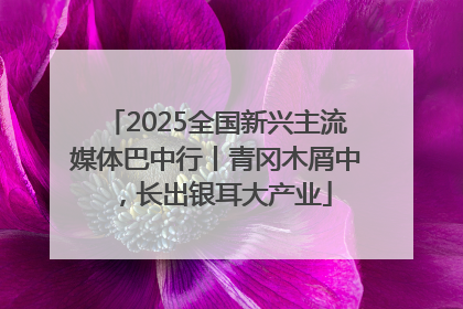 2025全国新兴主流媒体巴中行丨青冈木屑中，长出银耳大产业