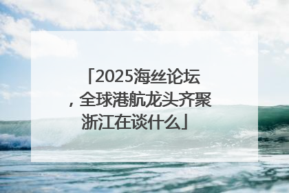 2025海丝论坛，全球港航龙头齐聚浙江在谈什么