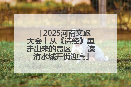 2025河南文旅大会丨从《诗经》里走出来的景区——溱洧水城开街迎宾
