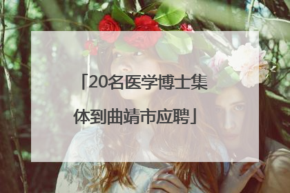20名医学博士集体到曲靖市应聘