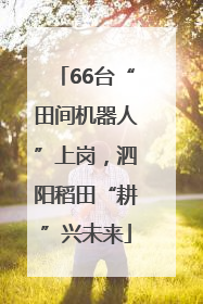 66台“田间机器人”上岗，泗阳稻田“耕”兴未来