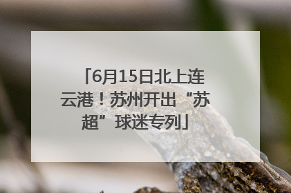 6月15日北上连云港！苏州开出“苏超”球迷专列