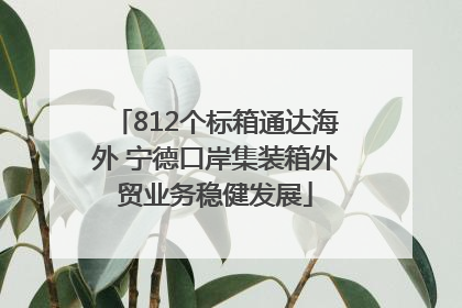 812个标箱通达海外 宁德口岸集装箱外贸业务稳健发展