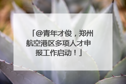 @青年才俊，郑州航空港区多项人才申报工作启动！