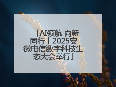 AI领航 向新同行丨2025安徽电信数字科技生态大会举行