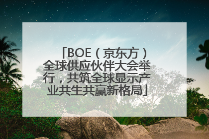 BOE（京东方）全球供应伙伴大会举行，共筑全球显示产业共生共赢新格局