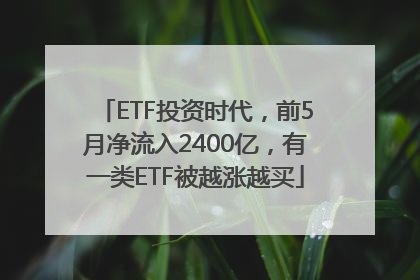 ETF投资时代，前5月净流入2400亿，有一类ETF被越涨越买