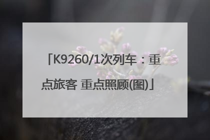 K9260/1次列车：重点旅客 重点照顾(图)