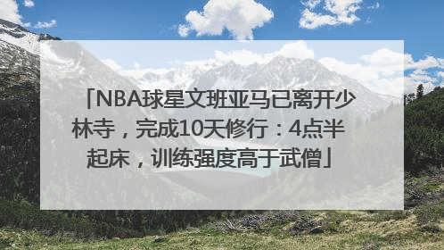 NBA球星文班亚马已离开少林寺，完成10天修行：4点半起床，训练强度高于武僧